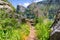 Hiking trail on the shoreline of Hetch Hetchy reservoir in Yosemite National Park, Sierra Nevada mountains, California