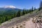 Hiking trail in Siskiyou County; Shasta mountain covered in snow visible in the background; Northern California
