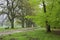 Hiking trail in spring, LÃ¼neburg Heath Nature Park, Northern Germany