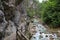 Hiking trail in Tarvisio, Italy