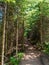 Hiking Trail at Tettegouche State Park in Minnesota 3