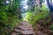 Hiking Trail to Gaisberg peak, Tirol, Austria