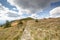 Hiking trail to Mala Babia Gora Mountain from Przelecz Brona Pass in Polish Beskid. High mountains landscape under blue sky with c