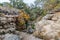 Hiking Trail to the Pedernales River on the Reimers Ranch in Texas