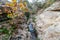 Hiking Trail to the Pedernales River on the Reimers Ranch in Texas