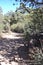 Hiking trail travelling in Arizona