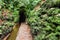 Hiking trail and tunnel along and through the volcanic mountain and on the typical Levada irrigation channels of Madeira island