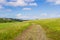 Hiking trail on the verdant hills on Edgewood County Park, San Francisco bay, California