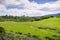 Hiking trail on the verdant hills on Edgewood County Park, San Francisco bay, California