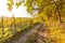 Hiking trail through a vineyard in colourful autumnal landscape in Southern Germany