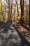 A hiking trail in a Virginia park in autumn