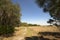 Hiking trail winding through Florida scrub at Lake Kissimmee Par