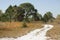 Hiking trail winding through Florida scrub at Lake Kissimmee Par