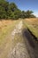 Hiking trail winding through Florida scrub at Lake Kissimmee Par