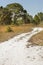 Hiking trail winding through Florida scrub at Lake Kissimmee Par