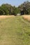 Hiking trail winding through Florida scrub at Lake Kissimmee Par