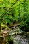 Hiking Trail With Wooden Bridge Over Waterfall Through Green Canyon At MyrafÃ¤lle In Austria