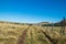 The hiking trails of Lake GuÃ©ry in Auvergne France