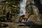 Hiking and trekking in mountain rivers with two dogs. Concept pets actively spend time in nature. German and Australian