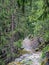 Hiking, trekking train path near Chamonix Mont Blanc, Haute Savoie, France in summer. View along the the petit balcon