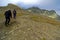 Hiking up Grossglockner mountain.