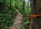 Hiking up the pathway of the monks to Doi Suthep - Chiang Mai / Thailand