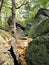 Hiking up rocky terrain, along the Appalachian Trail in southern Pennsylvania