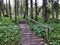 Hiking and walking trails in the Sihltal valley and by the artificial lake Sihlsee, Studen - Canton of Schwyz, Switzerland