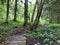 Hiking and walking trails in the Sihltal valley and by the artificial lake Sihlsee, Studen - Canton of Schwyz, Switzerland