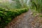 Hiking the wild paths trough the Sant Aniol d`Aguja, in the Alta Garrotxa Mountains Catalonia, Spain