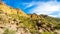 Hiking on the Wind Cave Trail of colorful Usery Mountain surrounded by Large Boulders, Saguaro and other Cacti