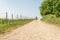 Hiking Woman with brown hair, straw hat and backpack hiking next to a wine field on a hiking trail