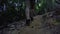 Hiking woman trekking in rainforest jungle