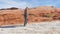 Hiking Woman Walking On The Desert At Red Rocks Canyon