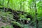 Hiking a wooded trail in Kentucky leading to a cave.