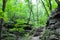 Hiking a wooded trail in Kentucky leading to a cave.