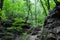 Hiking a wooded trail in Kentucky leading to a cave.