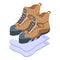 Hikings boots icon isometric vector. Army boot