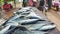 HIKKADUWA, SRI LANKA - MARCH 2014: Fresh fish on the table at market in Sri Lanka, customers passing by.