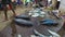 HIKKADUWA, SRI LANKA - MARCH 2014: Fresh fish on the table at market in Sri Lanka, customers passing by.