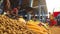 HIKKADUWA, SRI LANKA - MARCH 2014:View of local seller preparing corn for selling at the Sunday market.