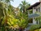 Hikkaduwa, Sri Lanka - March 3, 2022: Beautiful view of lush green palm trees and colorful flowers near the hotel