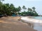 Hikkaduwa, Sri Lanka - March 4, 2022: Beautiful view of the beach in Hikkaduwa with green palm trees. People relax, sunbathe and