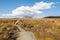 Hikking track in Tongariro National Park, New Zealand