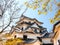 Hikone castle with blue sky, Shiga, Japan 5