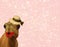 Hilarious camel wearing makeup and a straw hat isolated on a girly glittery pink background