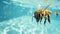 Hilarious underwater scene bee in pool plays deep dive action, Ai Generated