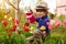 Ð¡hild in the garden watered flowers from a watering can in the summer. Kid gardener has fun working in the park in spring. A boy