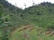 Hill; Agroforestry; Wet rice field; Forest