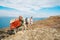 Hill climb of donkey against the backdrop of beautiful naturel Jordan mountains and Dead sea